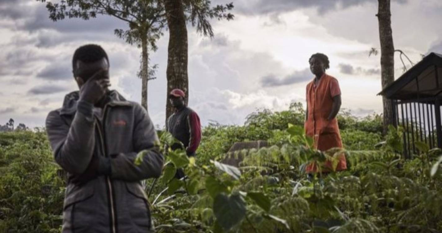 ONU regista mais de 400 execuções extrajudiciais na RDCongo em novembro