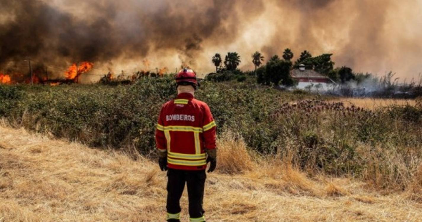 Incêndios: Fogo que começou em Faro e se estendeu a Loulé em fase de resolução