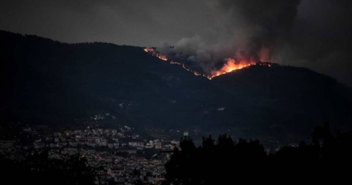 Incêndio provocou "danos enormes" na biodiversidade da Serra da Estrela