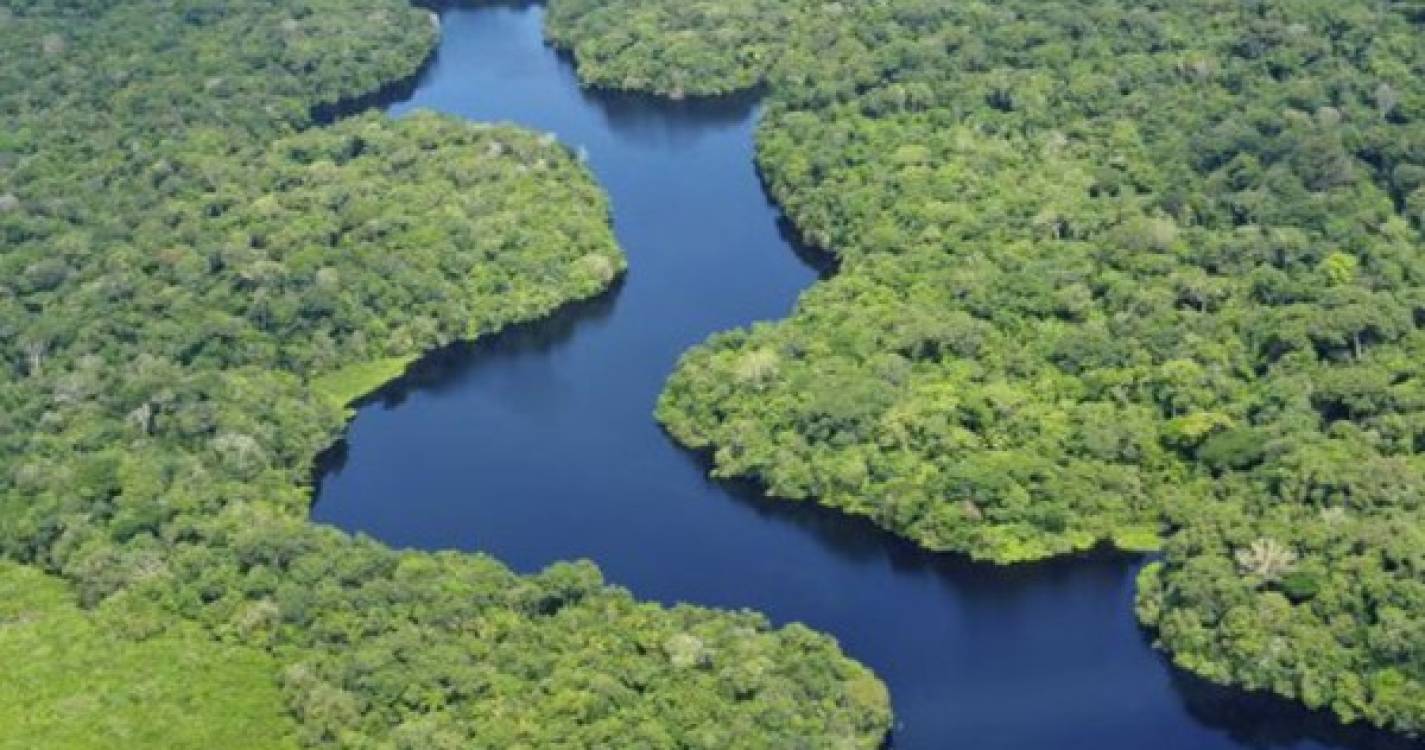 Parlamentares brasileiros aprovam lei de terras que pode regularizar invasões na Amazónia