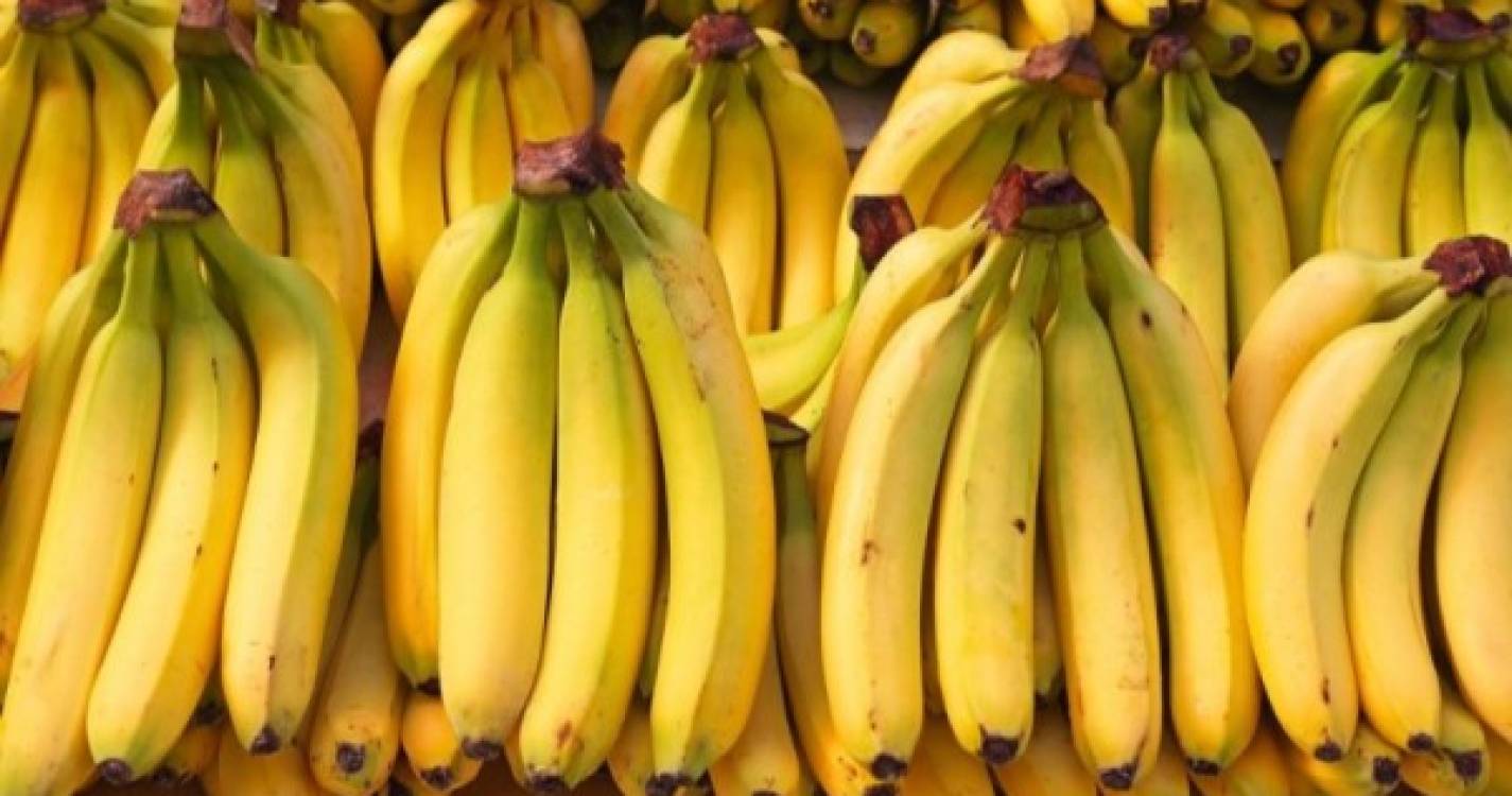 PJ apreende mais de oito toneladas de cocaína escondida em contentores de bananas