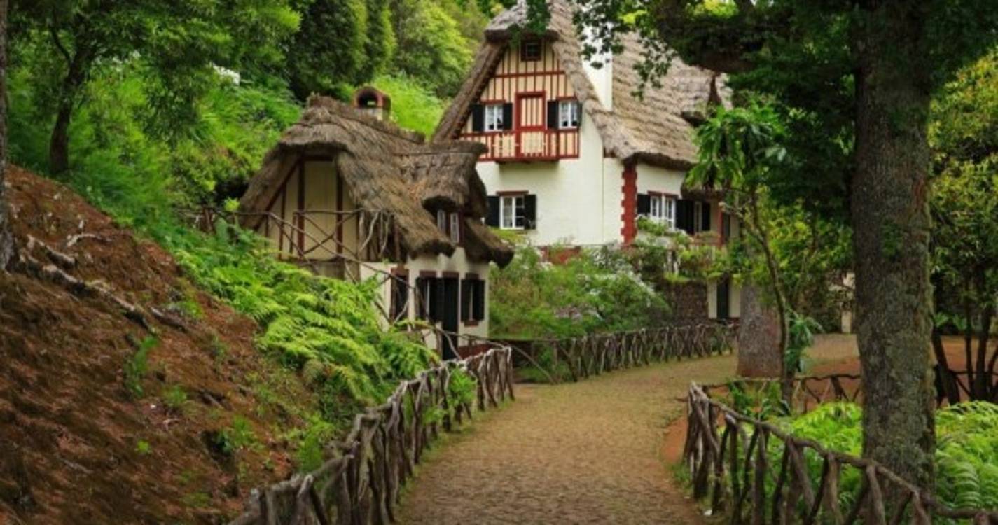 PSP coordena buscas esta tarde na zona das Queimadas