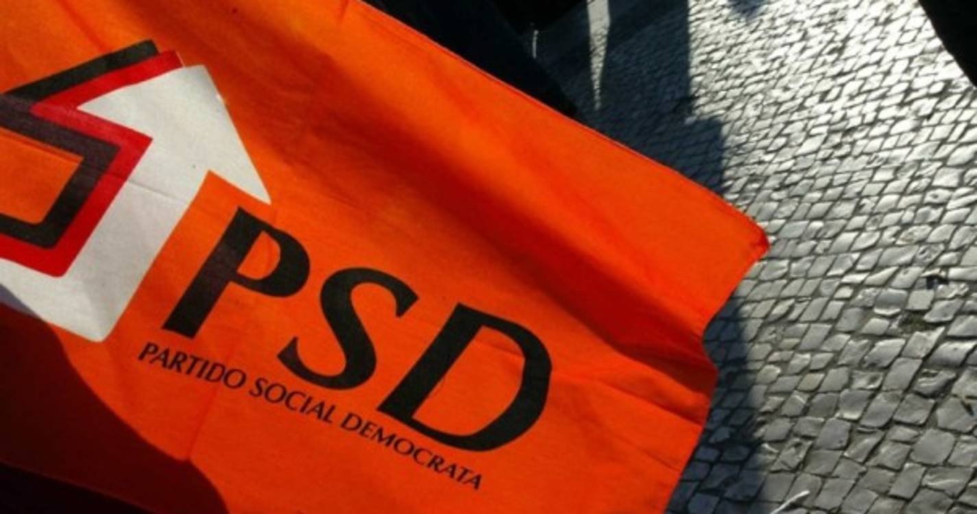 PSD aponta "embuste político" aos pensionistas na apreciação parlamentar
