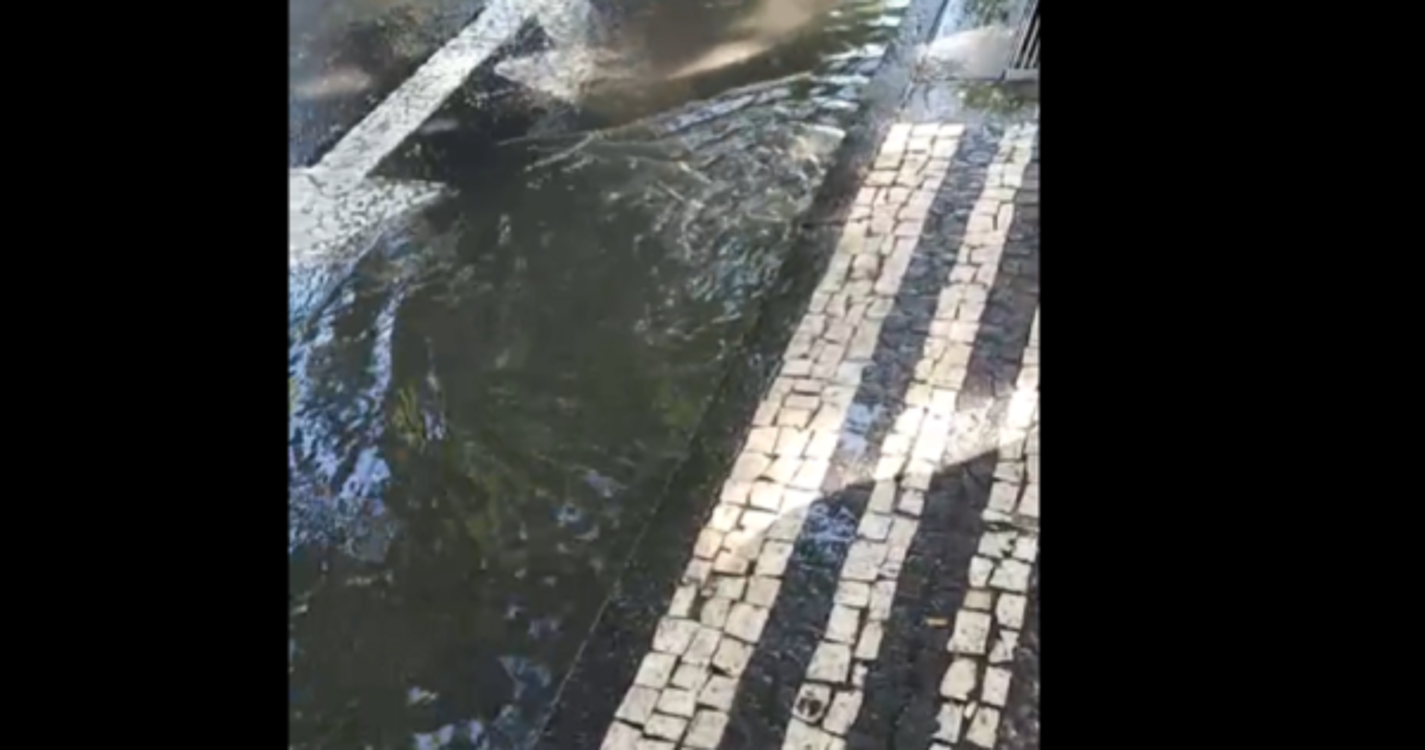 Esgoto a céu aberto indigna transeuntes no Funchal (com vídeo)