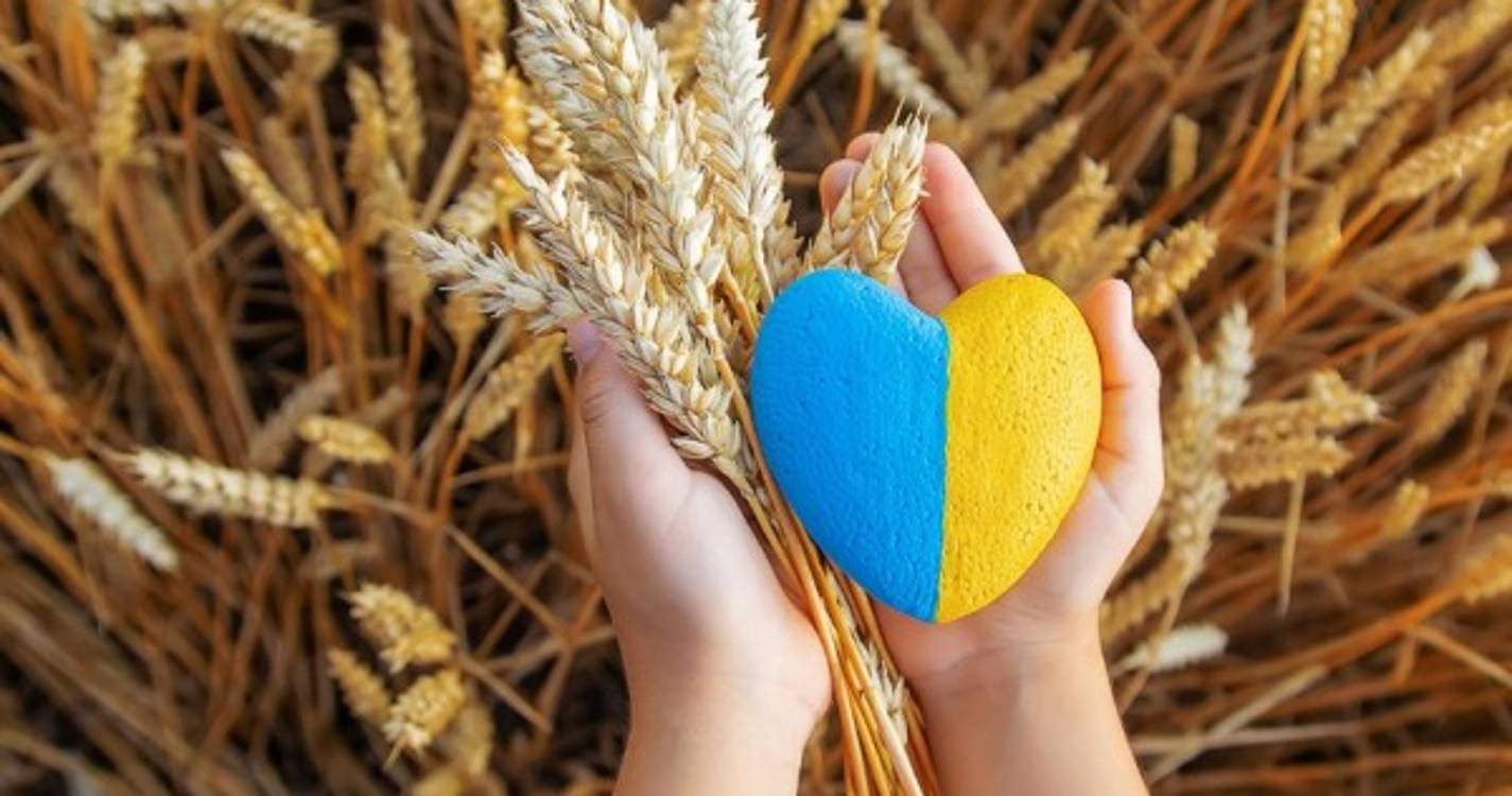 Ucrânia: Alemanha cria 'ponte ferroviária' para as exportações de cereais