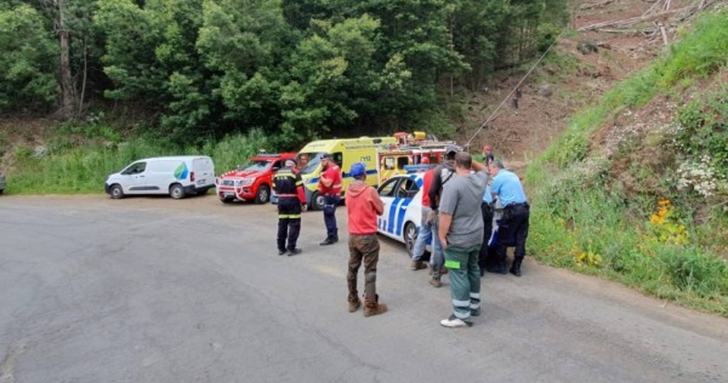 Homem atingido mortalmente por árvore é trabalhador externo à CMF