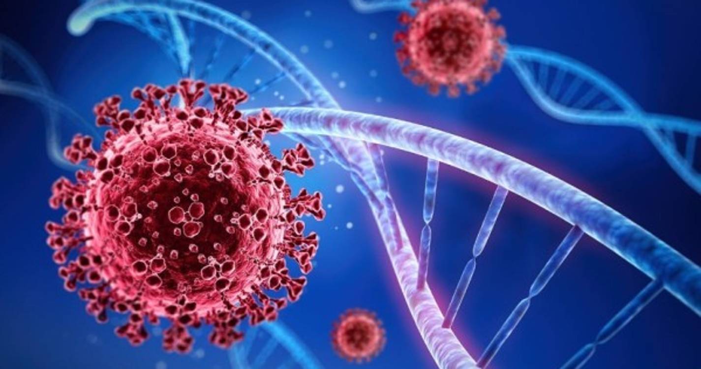 Variante Ómicron já é dominante em Portugal