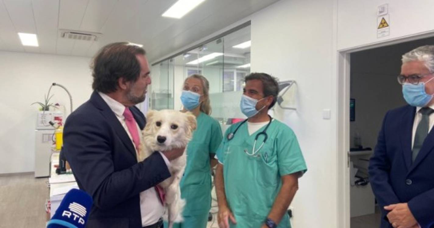Albuquerque adota cão. ‘Lucky’ passará a viver na Quinta Vigia