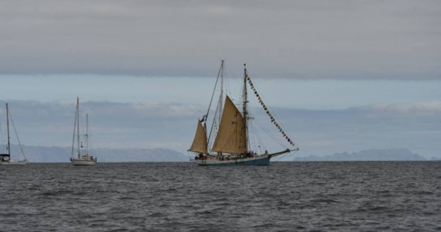 Parada náutica na Madeira juntou 27 embarcações (com fotos)
