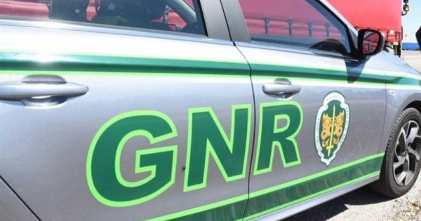 Homem de 35 anos vítima de homicídio com arma de fogo em Grândola
