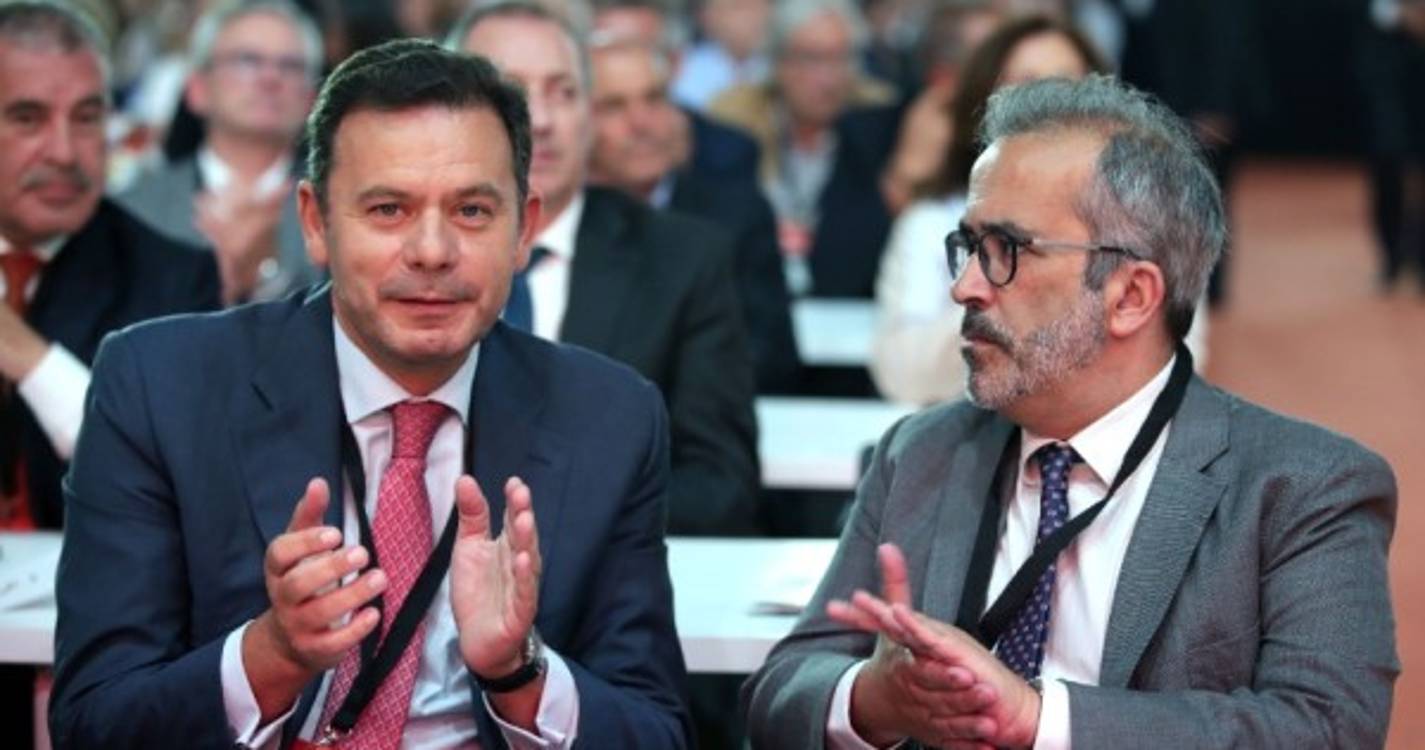 PSD: Rangel "totalmente disponível para colaborar"