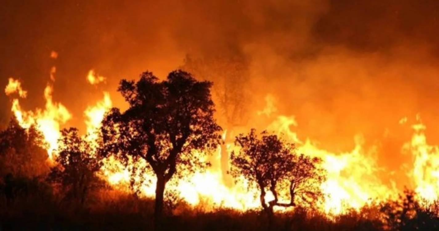 Incêndios na Argélia matam pelo menos 15 pessoas