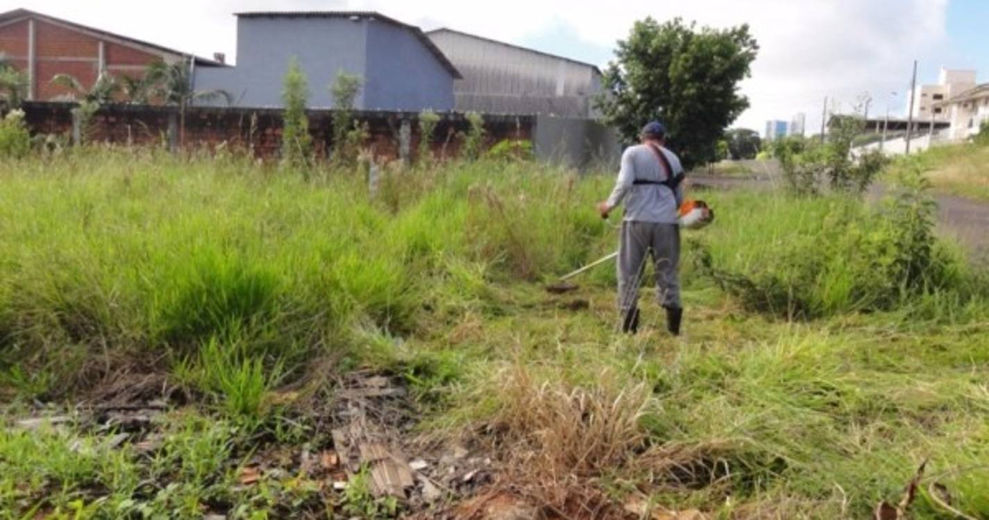 Incêndios: Falta de mão-de-obra, de cadastro e aumento dos preços dificulta limpeza de terrenos