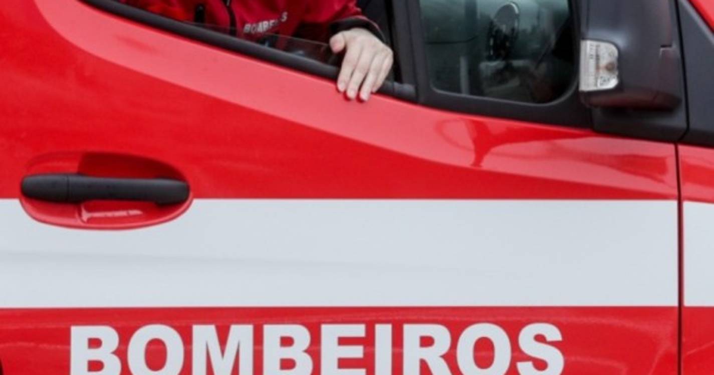 Menino de três anos morre atropelado pelo pai em Famalicão