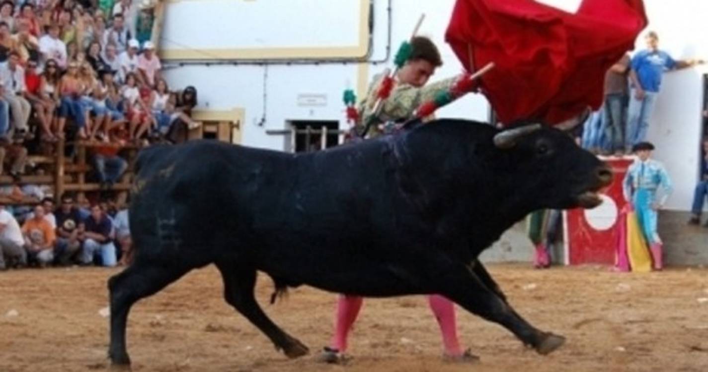 Touradas de morte começam hoje nas Festas de Barrancos