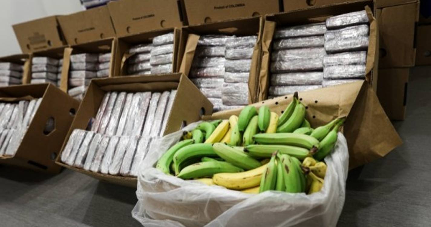 Conselho de Ministros aprova novo instituto na área das toxicodependências