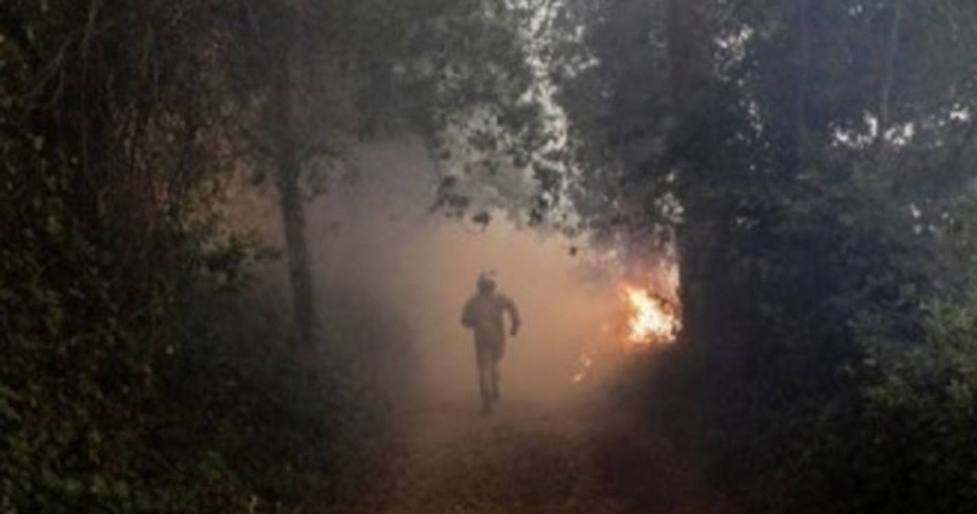 Cinco meios aéreos e 127 bombeiros combatem fogo em Cantanhede