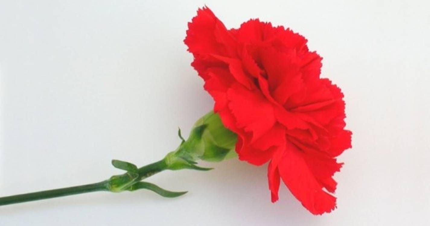 Morreu "capitão de Abril" Arnaldo Costeira