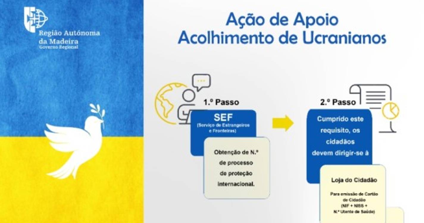 Rita Andrade garante que tudo fará para &#34;integrar rapidamente&#34; 73 ucranianos