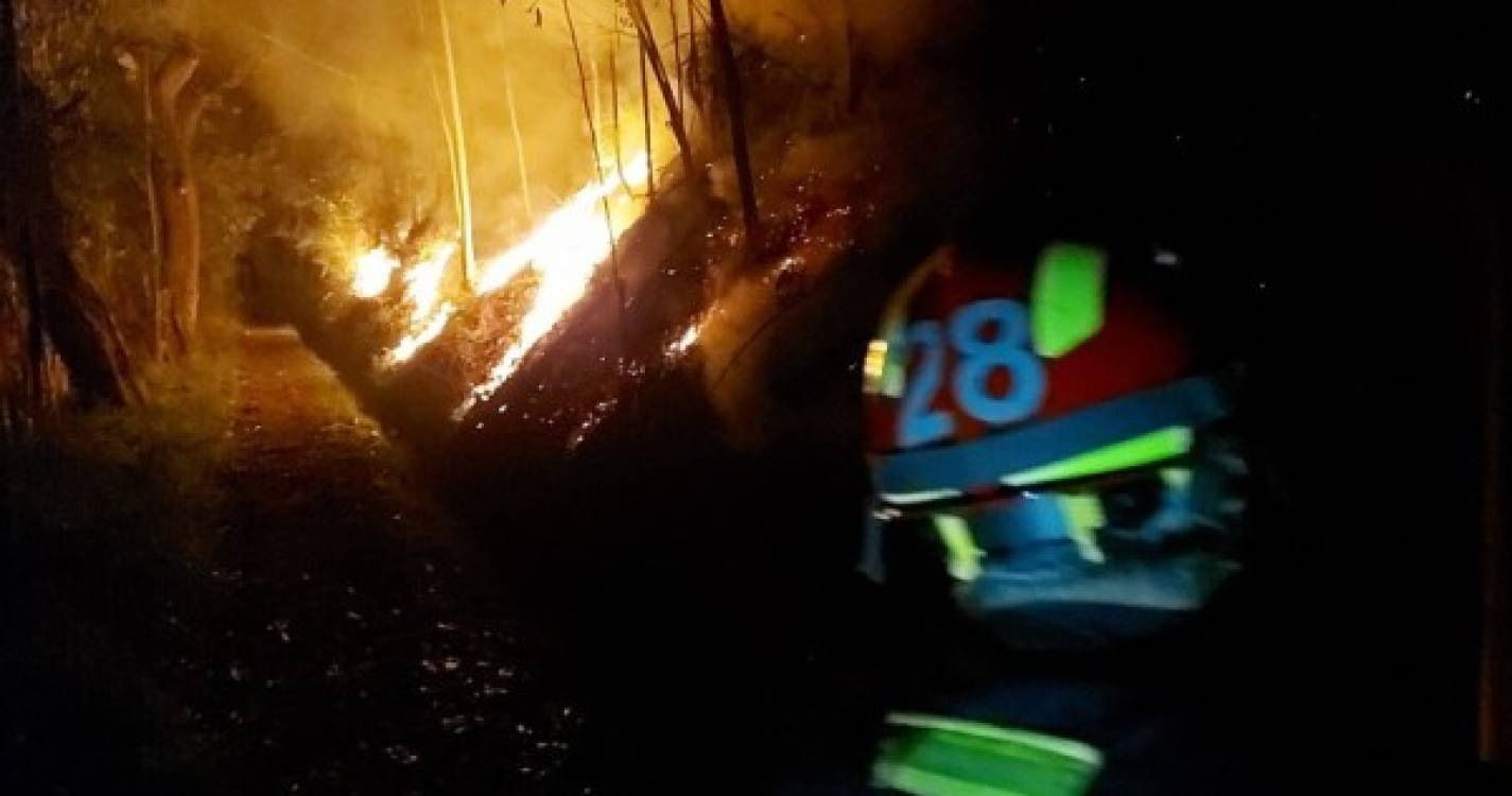 Dezasseis bombeiros e seis viaturas empenhados em combate a incêndio na Camacha (com fotos)