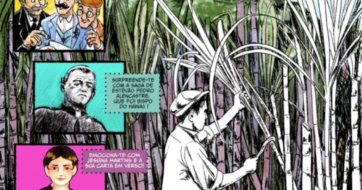 Livro 'Da Madeira para o Hawaii' apresentado esta sexta-feira