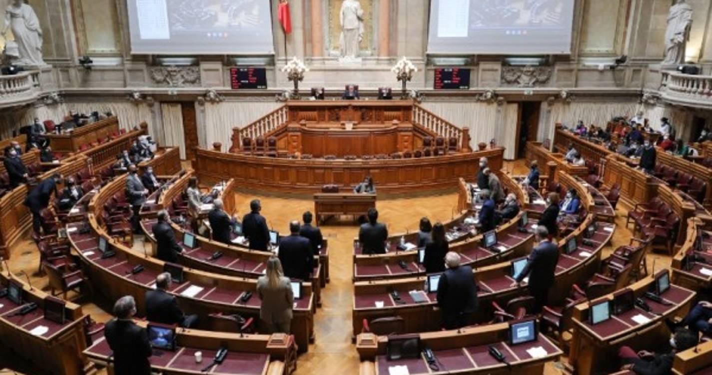 Vinculação, recrutamento e carreira docente hoje em debate no parlamento