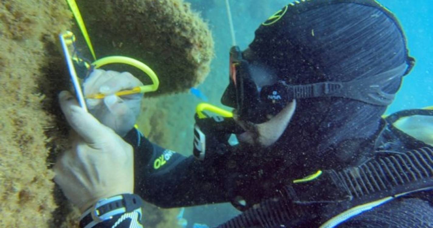 NAS - Nautical Archeology Society desenvolveu ações na Madeira