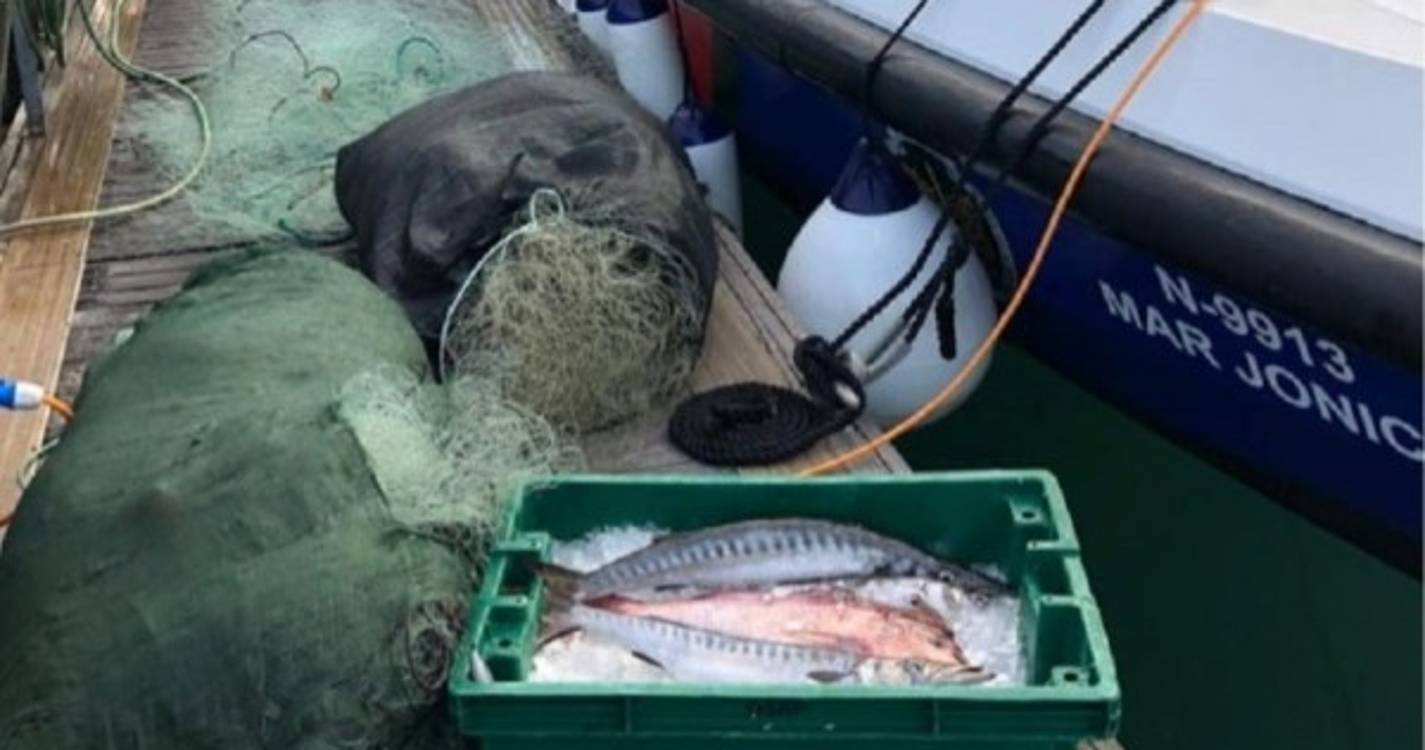 GNR aprendeu 25 quilos de pescado e uma rede de emalhar com 150 metros de cumprimento