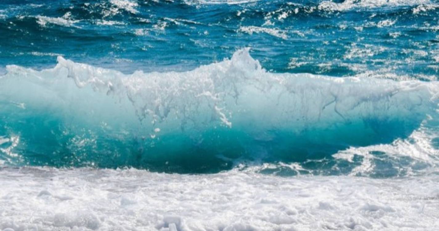 "Corrente pelo Oceano" assinala Dia Europeu do Mar