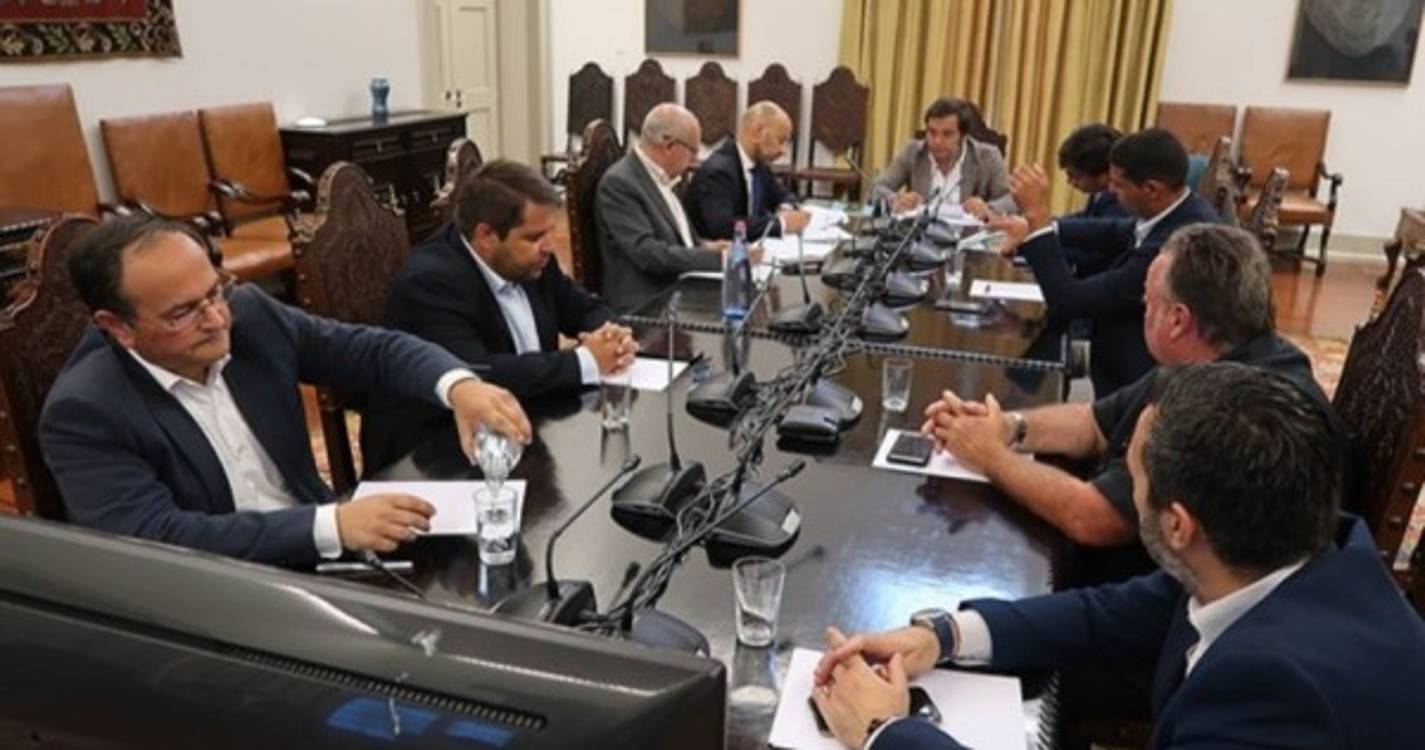 Alteração de limites de vento na Madeira não será feita antes de 2025