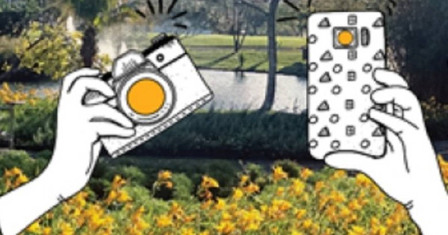 Concurso "Um Olhar pelos Jardins Municipais do Funchal" decorre até 31 de maio