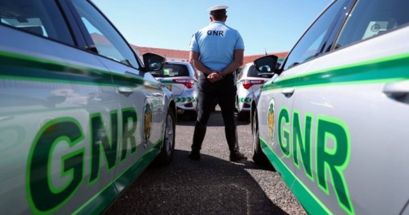 GNR realizou desde janeiro 1.264 ações de sensibilização relacionadas com ‘bullying’