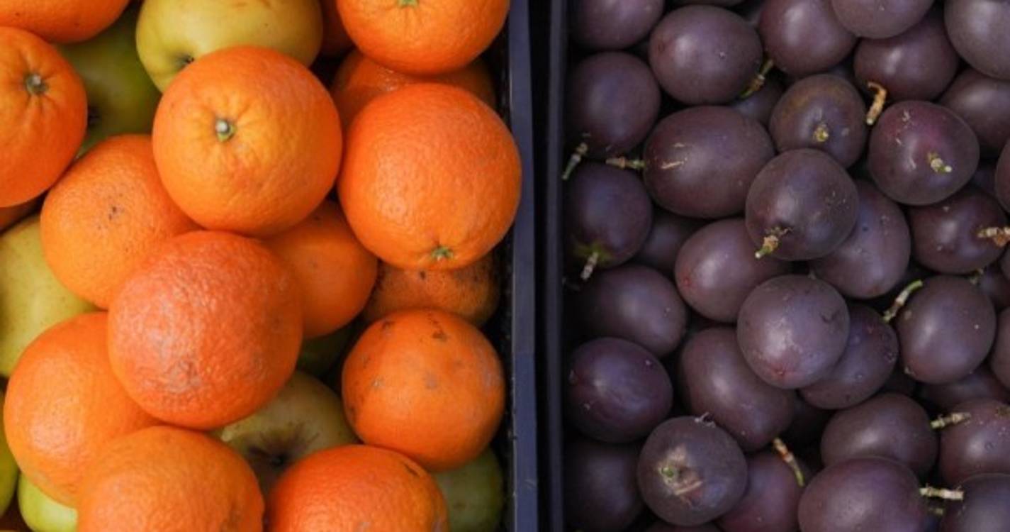 Exportações de frutas e legumes passam 1.000 ME pela primeira vez no 1.º semestre