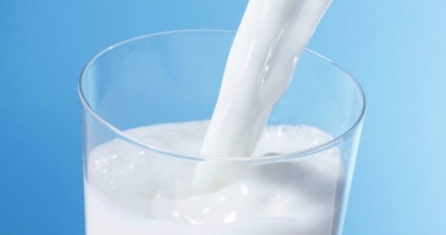 Subida do preço do leite tardia e abrupta, mas necessária