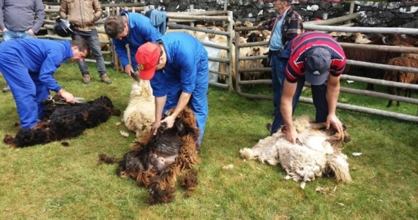 Tradições madeirenses nas Serras do Poiso