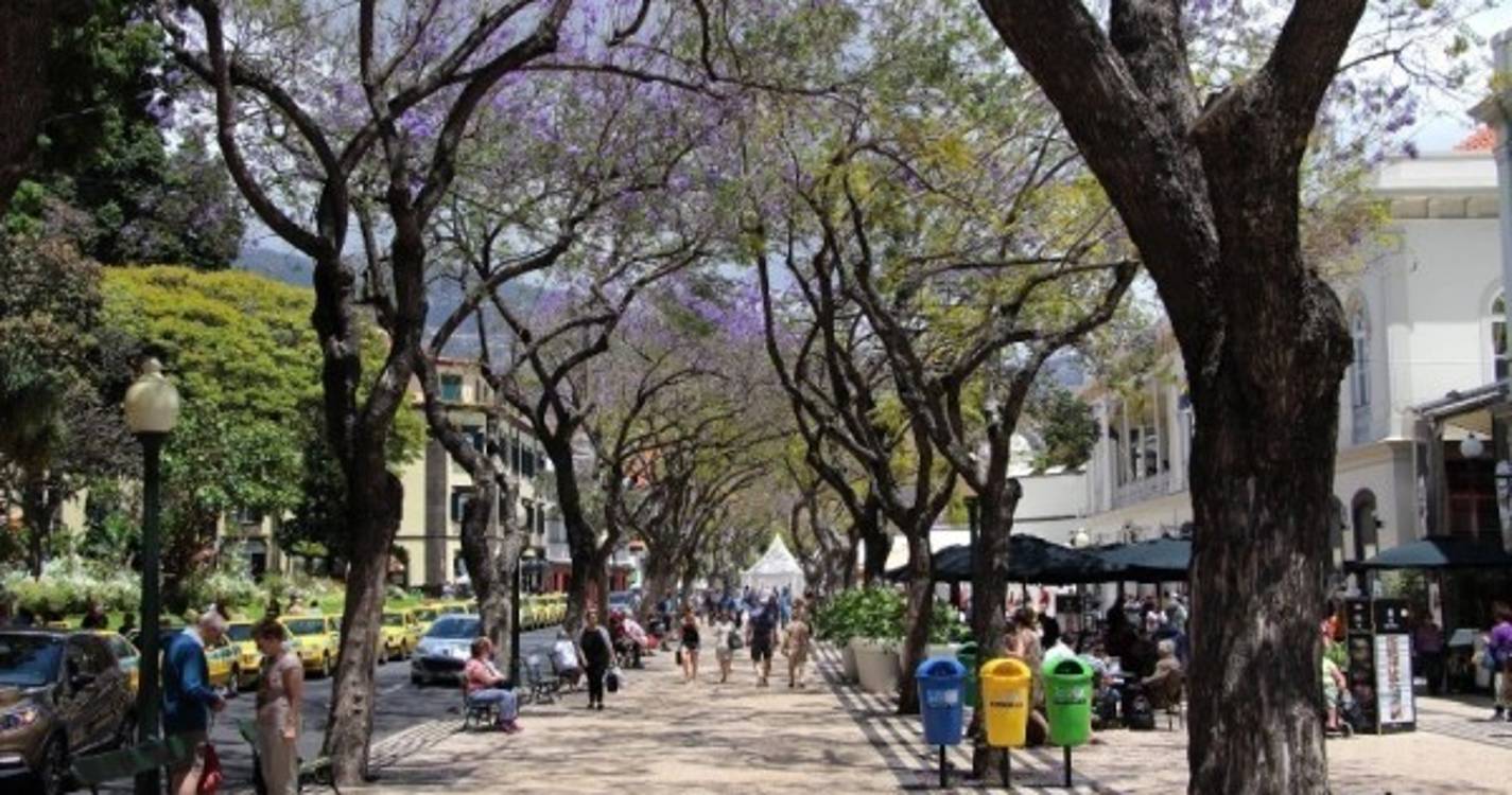 Festa do Vinho começa esta quinta-feira na Avenida Arriaga e na Praça do Povo