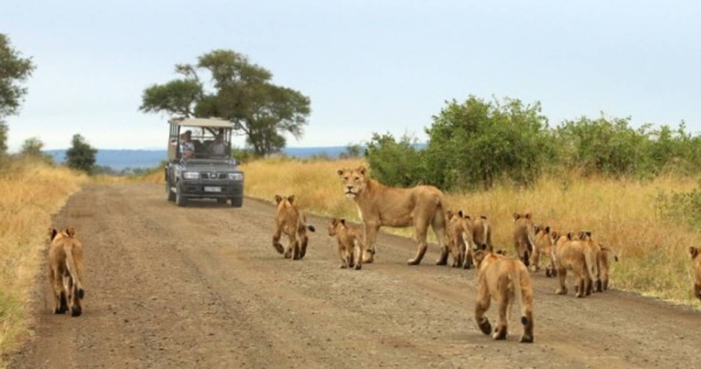 Governo sul-africano condena assassinato de turista no Parque Kruger