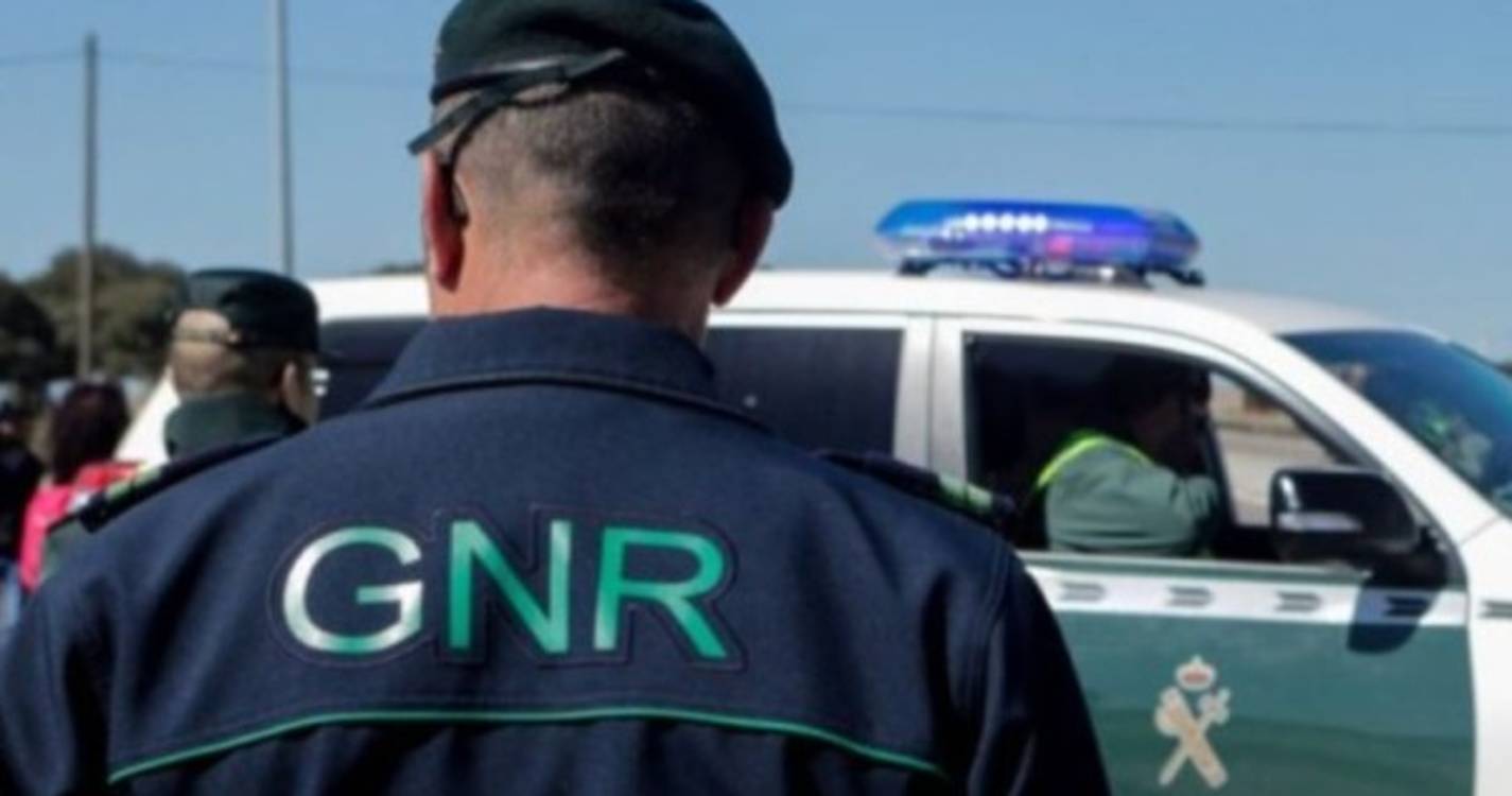 GNR acaba com festa em aviário desativado em Oliveira de Frades