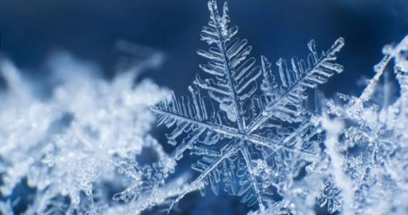 Tempestade de neve fecha administração pública e escolas em Washington, D.C.