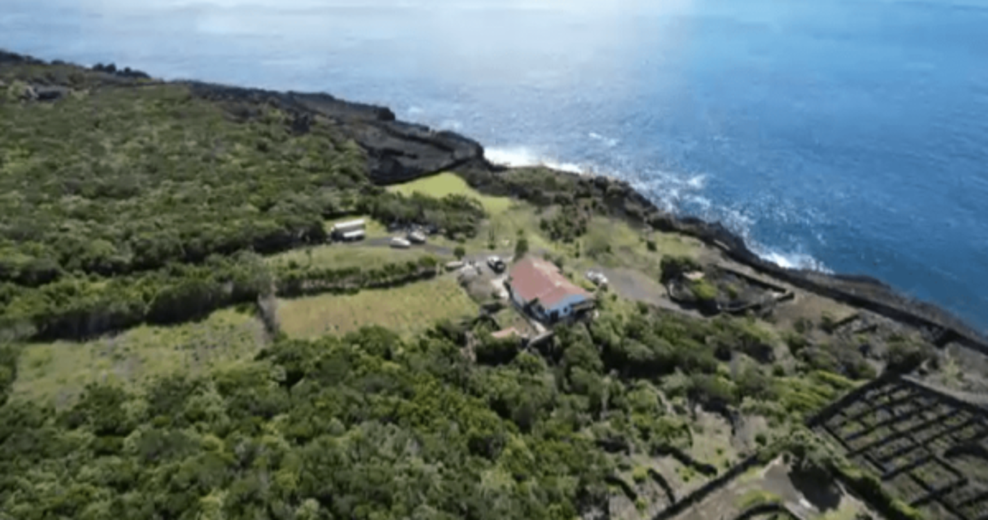 Associação alerta para importância de proteger floresta original dos Açores