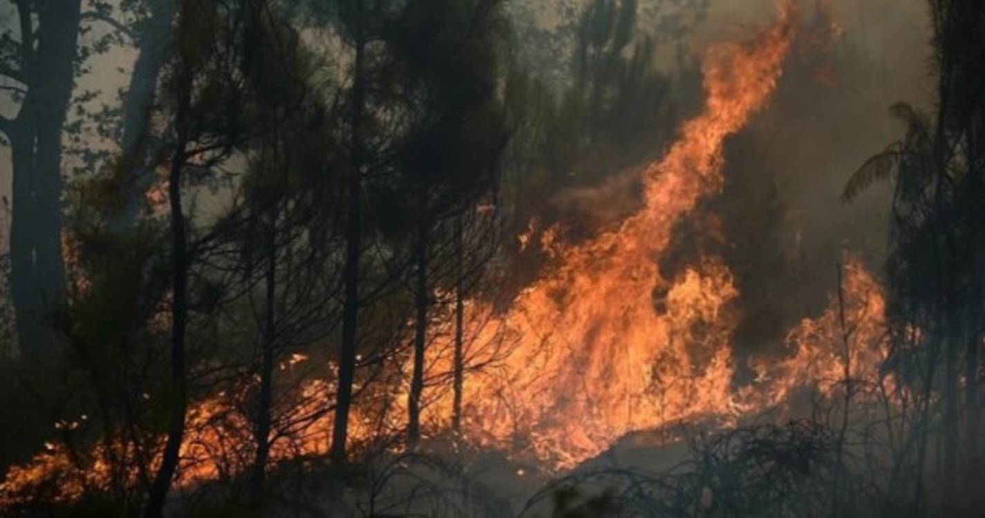 Incêndios: Fogo em Ponte de Lima mobiliza 93 operacionais e um meio aéreo