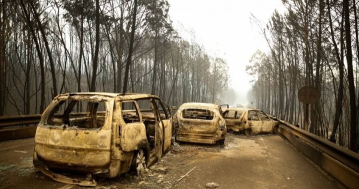 Pedrógão Grande: Advogado rejeita culpa de funcionário da Ascendi nos incêndios