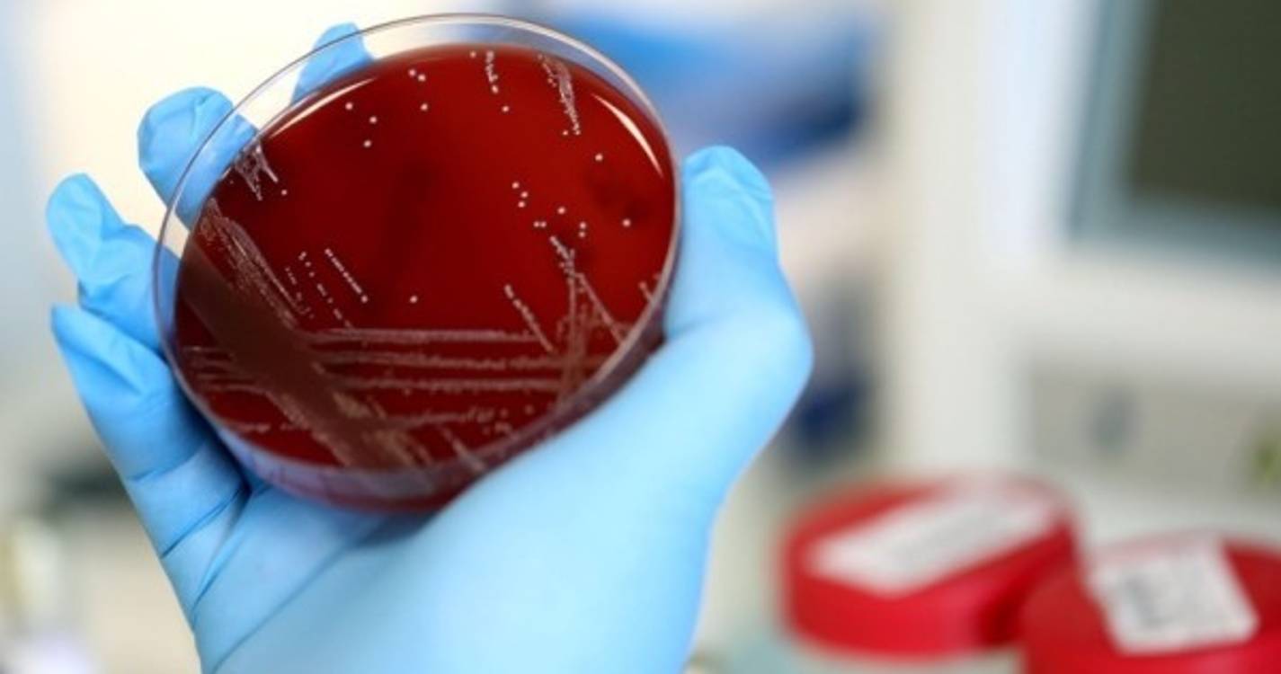 Covid-19: Situação no Algarve é "preocupante", considera delegada de Saúde