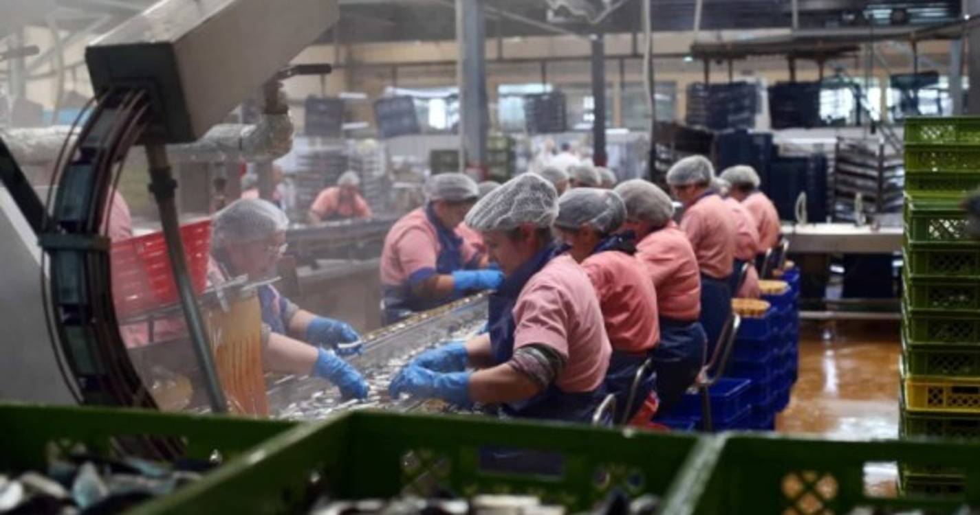 Ucrânia: Conservas Ramirez preocupadas com aumentos no óleo, alumínio e energia