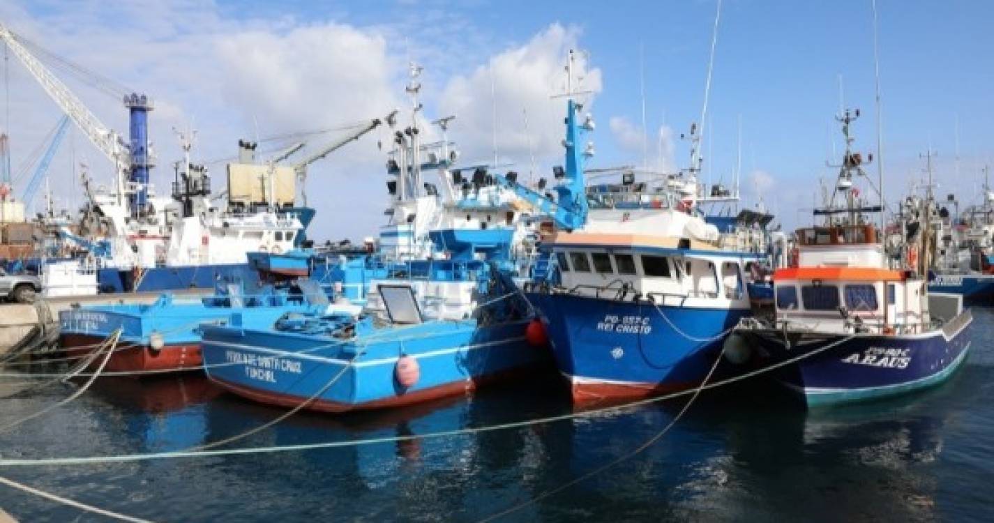 Estatística: Pescado capturado na Madeira baixou 9,2% e abate de gado aumentou 6,2% em 2022