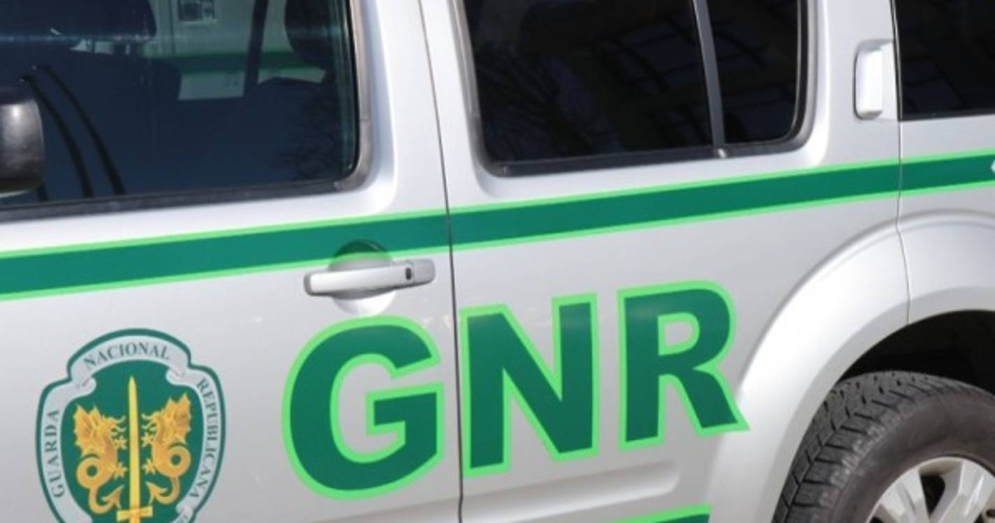 Catorze mortos numa semana em acidentes nas estradas