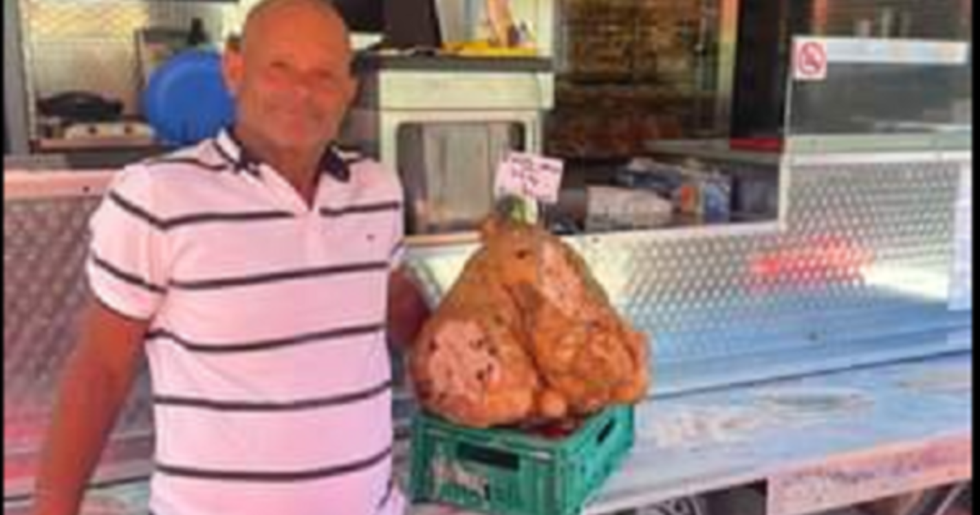 Batata com 24 quilos em exposição no Porto da Cruz