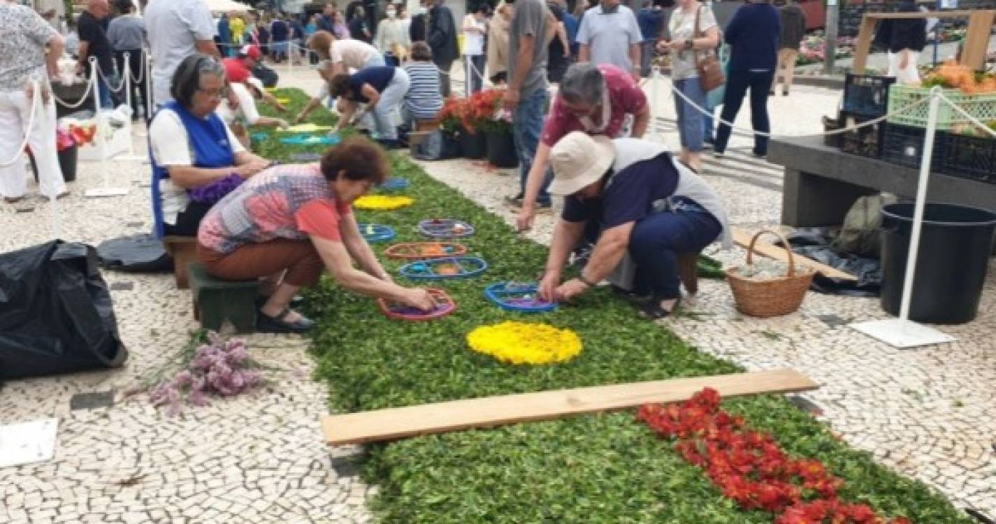 Tapetes florais renovados embelezam placa central da Avenida Arriaga