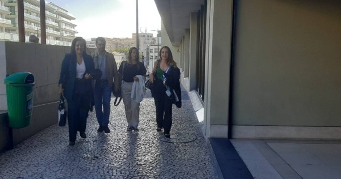 Perito entende que queda da árvore do Monte não pode ser imputada aos arguidos