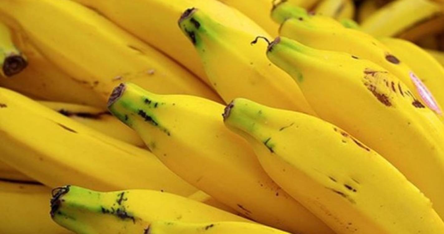 XXI Mostra Regional de Banana na Madalena do Mar